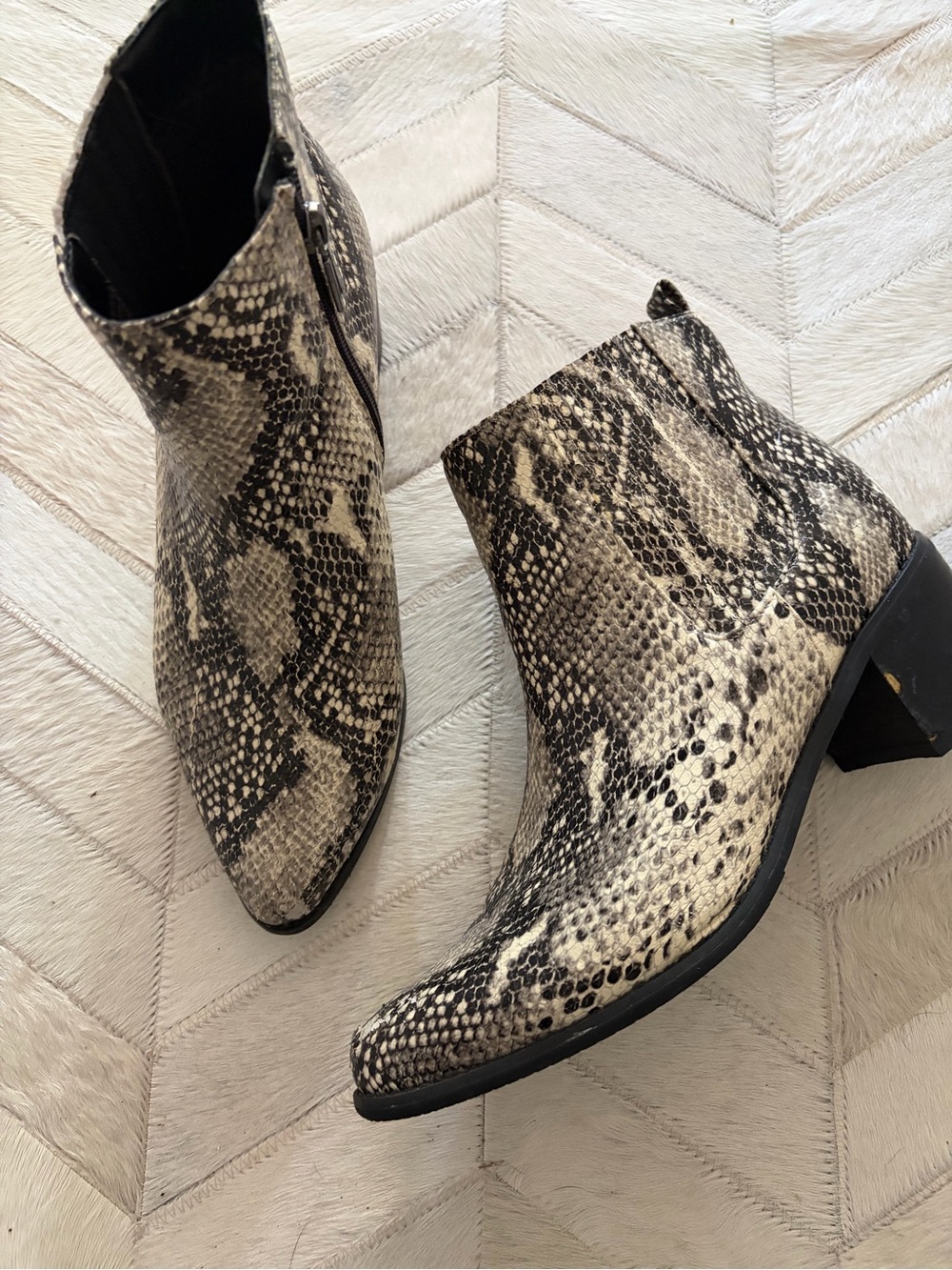 Blondo Snake-Print Ankle Booties in Black and Cream